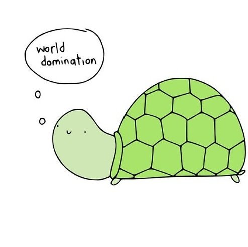 Myrtle_Mayhem's tweet photo. #TurtleWorldDomination https://t.co/EjFQ0yMPxV