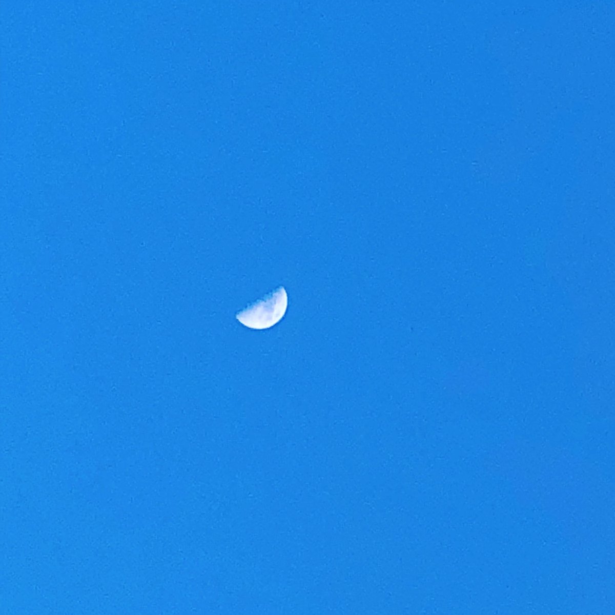 Saw the moon out the other day - guess the sun has a little competition 😜
#moonduringtheday #outdoorsismyhome