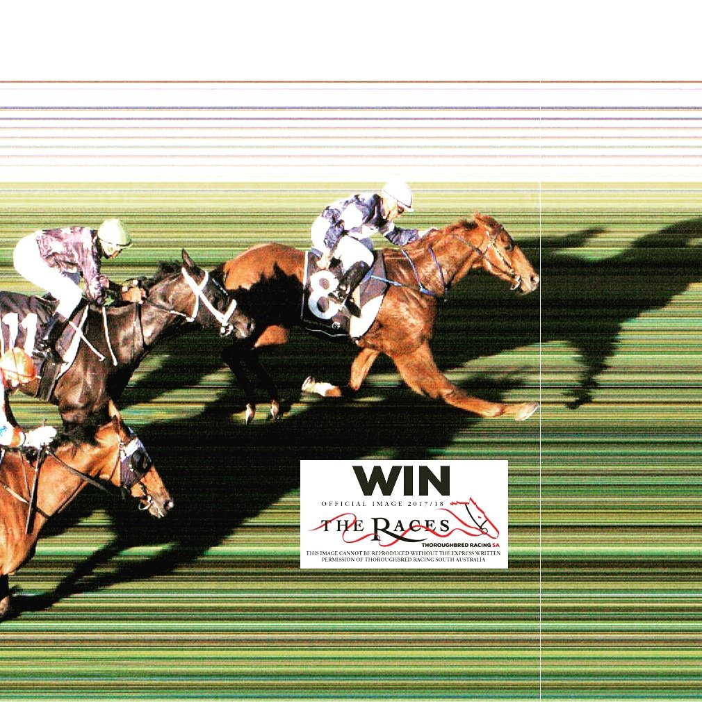 TurfKingOZ's tweet photo. Going Gaga was nicely tuned up for the win at @Gawlerjockey on Wednesday. Credit to trainer @mhbloodstock and jockey Alfie Chan https://t.co/kbOvWb9wQ3
