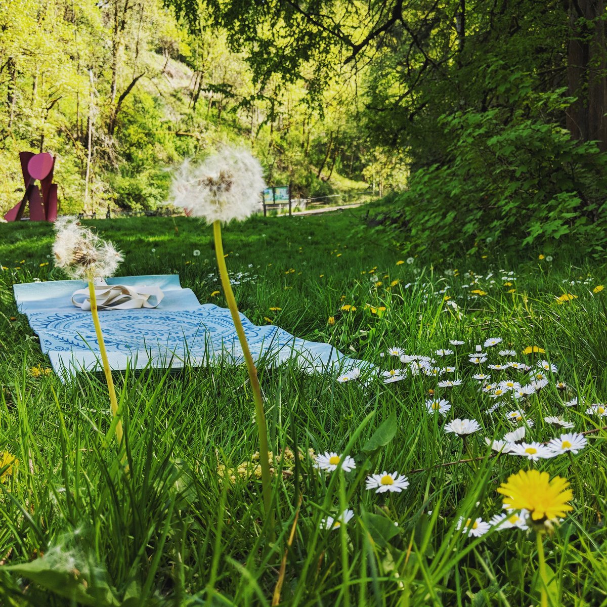 BrittSkrabanek's tweet photo. Yoga in the park. Enough said. #portland #inthespring https://t.co/irtsw55wyu