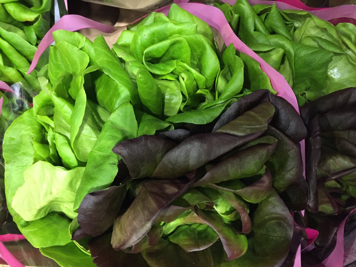 Foodwords's tweet photo. At the Canadian Produce Marketing Association trade show today. More sustainable growers and less plastic clamshells. #bcpma https://t.co/3P4UJ9OWx9