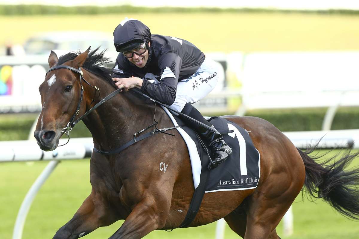 racing_nsw's tweet photo. 'He’s been an old marvel, he’s a pleasure to have around the stable and I’m sure Gai and Adrian enjoy training him.'

5 years &amp; 3 days since their first race together, Adam Hyeronimus and Ecuador chase the Group 3 Hawkesbury Gold Cup on Saturday.

READ: https://t.co/oJrREuj33Z https://t.co/EzjBdbxM4v