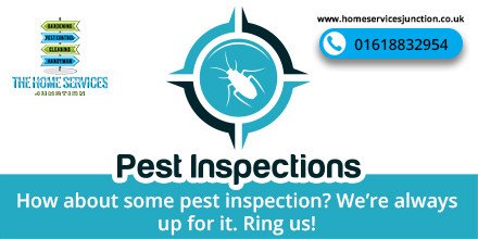 How about some pest inspection? We’re always up for it. Ring us!
#pestcontrol #homeservicesjunction #pestfree #manchester #pestinspection