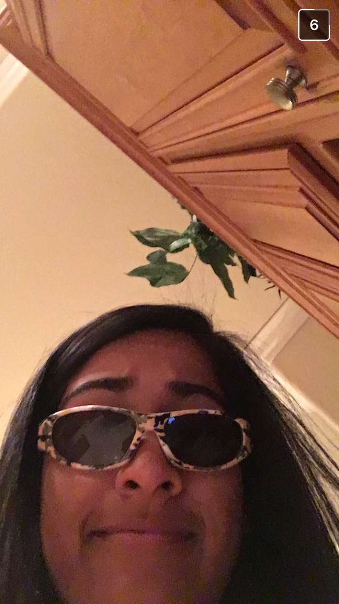 ryan_rantz's tweet photo. Happy Birthday @sonali_guptaa ! You’re realllllly cool! I hope u had a good one https://t.co/xGnDG1bZ9Q