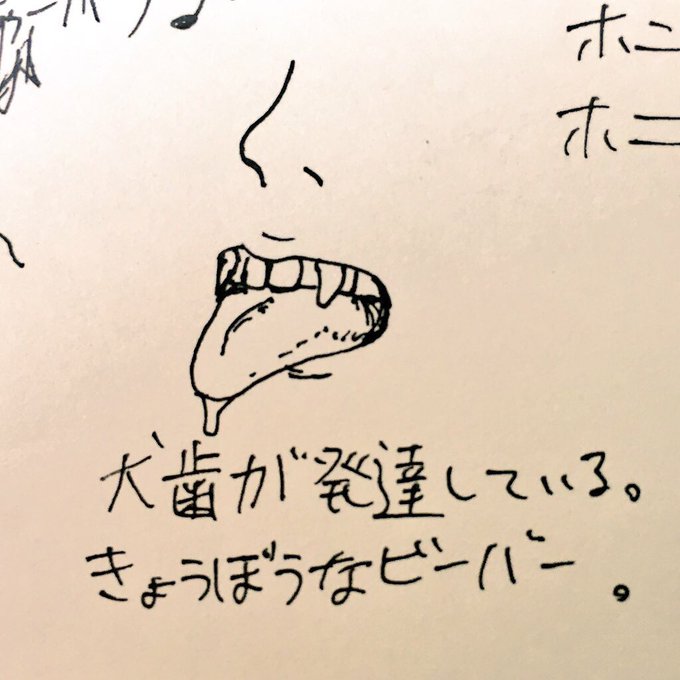 ひかるはビーバーだったのか 