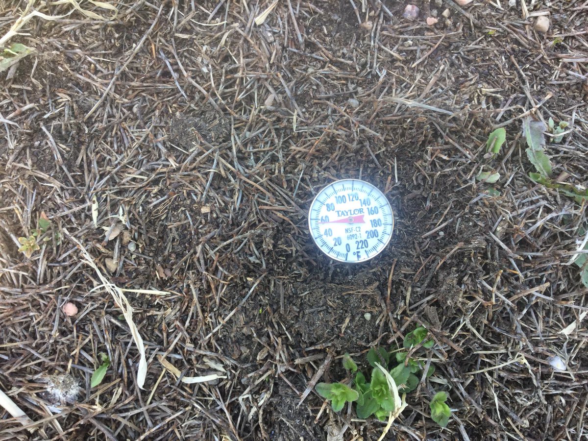 CropBailey's tweet photo. Soil temps are warming up fast and the sunlight is the biggest factor not the temperature. https://t.co/z47vV1OPpk