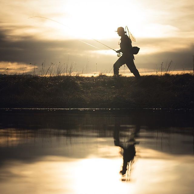 Sunset sessions. Ohhhhhh yeah! .
.
.
.
.
.
.
.
.
.
.
#flyfishing #flylords #flyfishingphotography #redingtongear #findyourwater #flyfishingnation #keepitpublic #thetugisthedrug #laradise #wyoming #fishing #asdt #optoutside #outdoorwomen #adventurevisuals… ift.tt/2vOlzN5