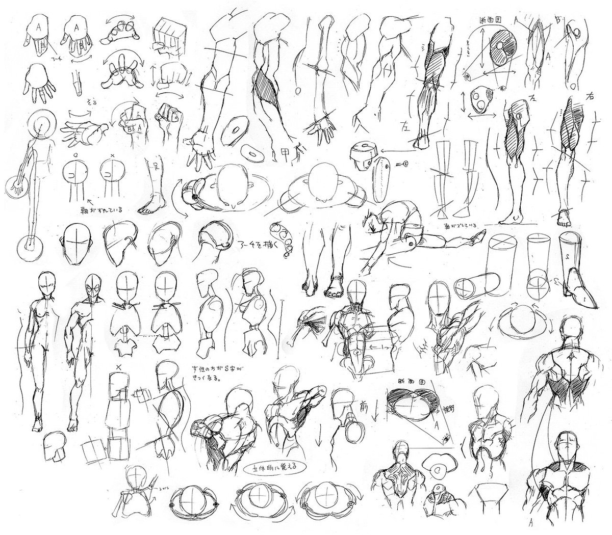 まじかる しげぽん Vroid בטוויטר 快描教室て本がオススメ 後はポーズ集とか見てさっき 言った立方体として捉えて描いたりするといい