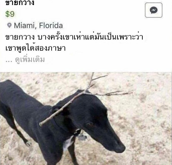 Belierectioner_'s tweet photo. ฮือน้องงงงงงง ตลก 5555555555555555555555555555555555555555555555555555555555555555555555555555555555 https://t.co/rGzboEXy3z