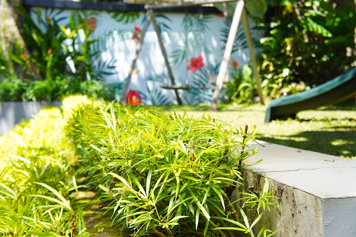 “Food is a necessary component to life. People can live without Renoir, Mozart, Gaudi, Beckett, but they cannot live without food.”