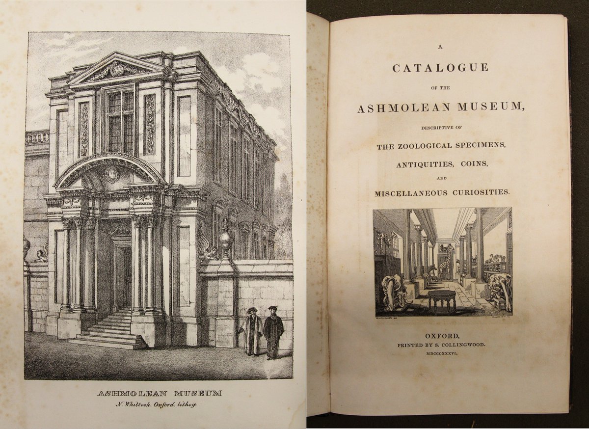 bodleianlibs's tweet photo. Many @SacklerLibrary books once belonged to the old Ashmolean Library. We are still closely connected to the @AshmoleanMuseum via book donations and curatorial research. For #ThrowbackThursday, here are a couple of items picturing the museum's past. #bodtakeover https://t.co/FZsMLLgwb6
