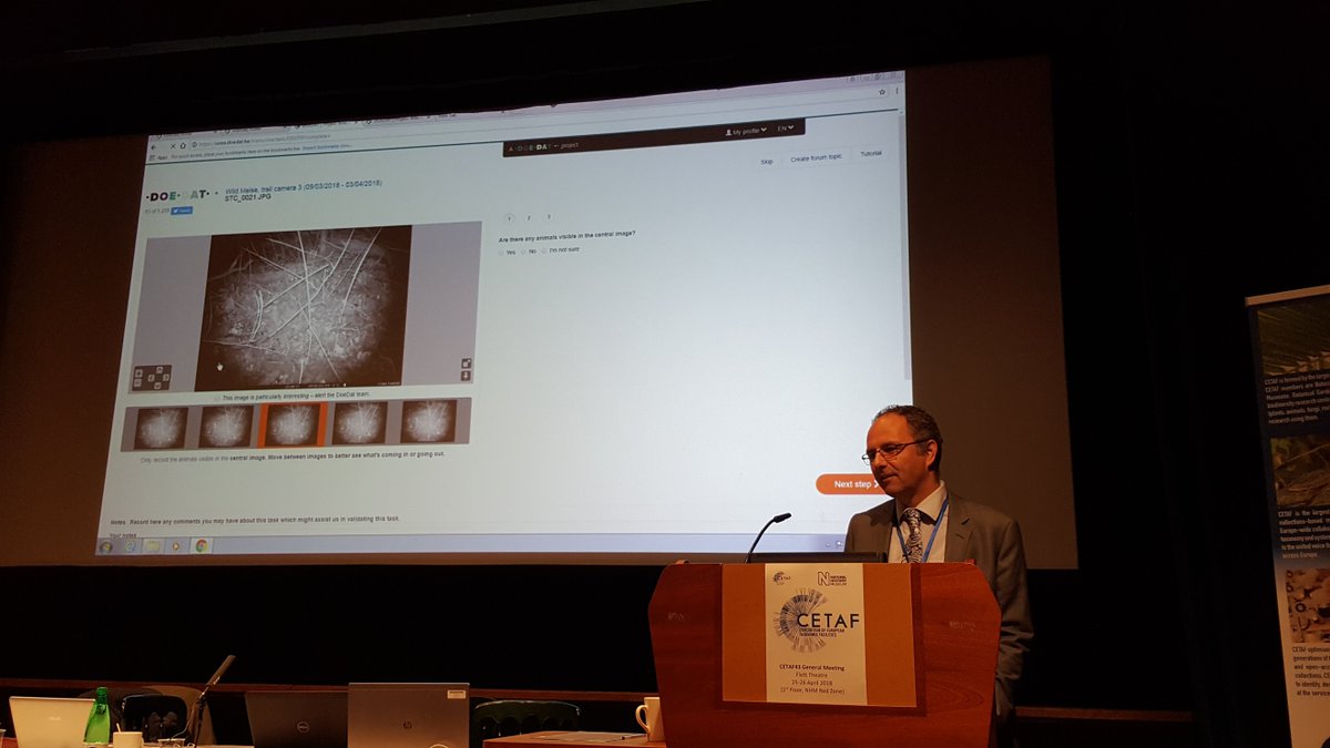 eurotaxonomy's tweet photo. Quentin Groom @cabbageleek from @BGM_coll_res @botanicgarden01 provided an intriguing demonstration of the #DOEDAT #citizenscience platform https://t.co/JbKKXSFMug #CETAF43 @NHM_London https://t.co/hlBeifrGXk