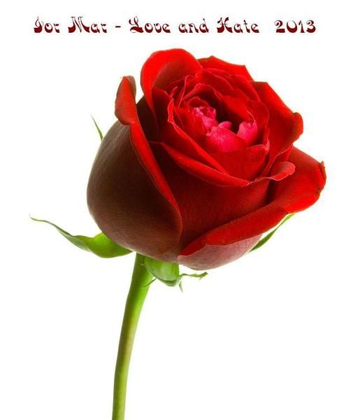 ValentineDayWeb's tweet photo. New post (Check out Ior Mar Electric on ReverbNation #NightonTheTown) has been published on Happy Valetines Day - https://t.co/TLIpRBJlsg https://t.co/tA7lK2IKQA