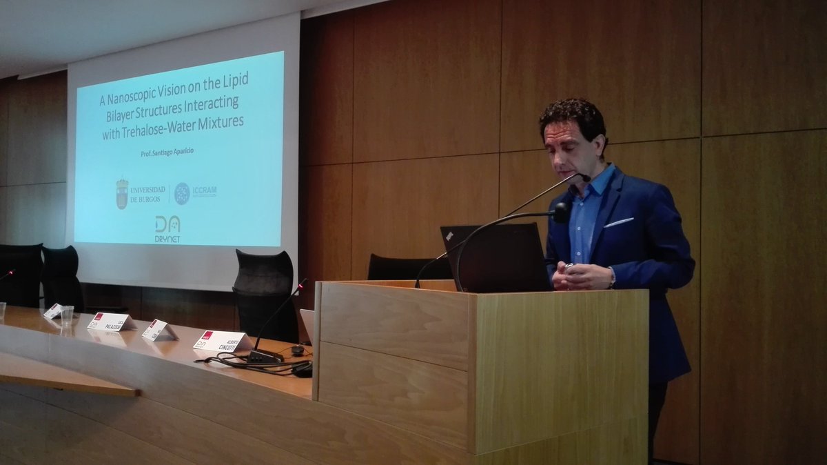 ICCRAM_UBU's tweet photo. #Project_ICCRAM | Our colleague Prof. Santiago Aparicio presents "A Nanoscopic Vision on the Lipic Bilayer Structures Interacting with Trehalose-Water Mixtures” at @DryNet_project Workshop.

@UniTeramo @univca @UNIMORE_univ @imagene_biotech @ChulalongkornU #ResearchImpactEU https://t.co/yqlBhjKZdD