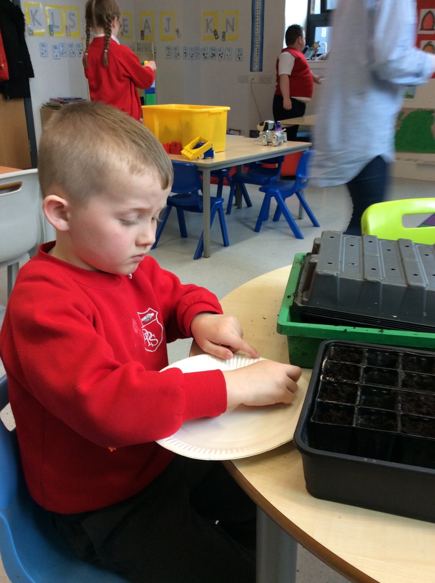 MrsChapmandps's tweet photo. Today we were planting tiny seeds. We put them into the soil and we gave them water. Now we have to wait &amp; wait &amp; wait &amp; wait lots of days for them to grow.
@drumparkprimary https://t.co/BAr8d8wngZ