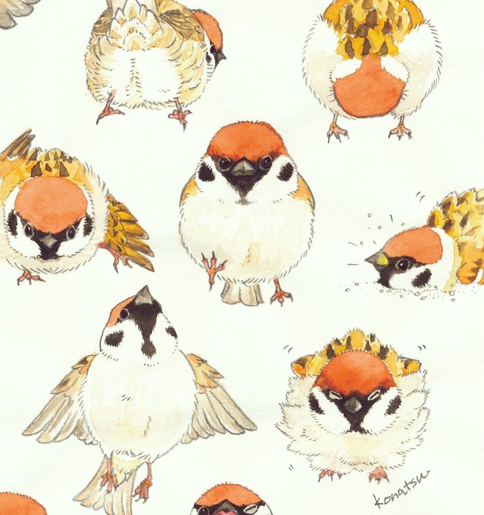 「FEWMANY銀座ロフト店として第一回目となる企画展に参加します。「BIRD」を」|こなつのイラスト