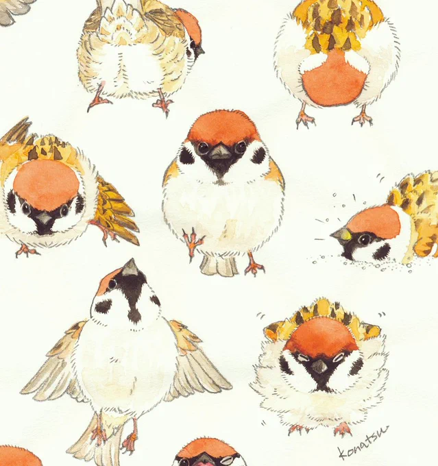FEWMANY銀座ロフト店として第一回目となる企画展に参加します。「BIRD」をテーマに描いた原画を展示販売します。雀マニアの方向けのイラストを描きました。ぜひ会場でご覧下さい。
●銀座ロフト 6階
●会期 4/27(金)～5/31(木)
販売方法など詳細はこちらをご覧下さい https://t.co/vyDodrbRkb 