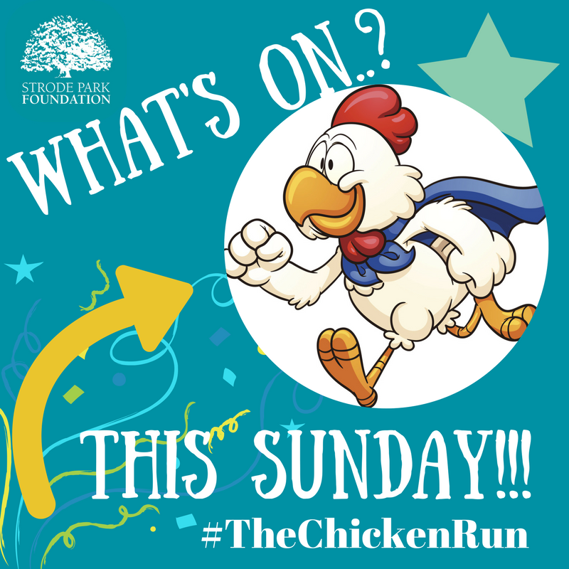 Strodepark's tweet photo. #TheChickenRun #Event #WhatsOn #WhatsOnKent #WhatsOnHerneBay #SupportingLocalCharity #5K #FunRun #Chickens #Running #HerneBayPier #SupportUs #StrodeParkFoundation #HerneBay #Kent https://t.co/I1ju8h2YN0