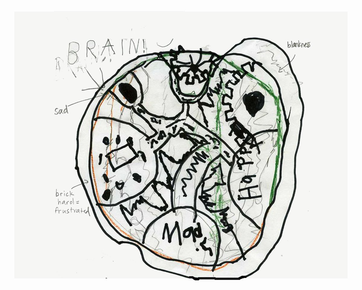 FAFASDorg's tweet photo. The brain is the clue to behavior...and behavior is a clue to what's happening in the brain. #brainbasedparenting #NBapproach #FASD https://t.co/typvYVCGXK