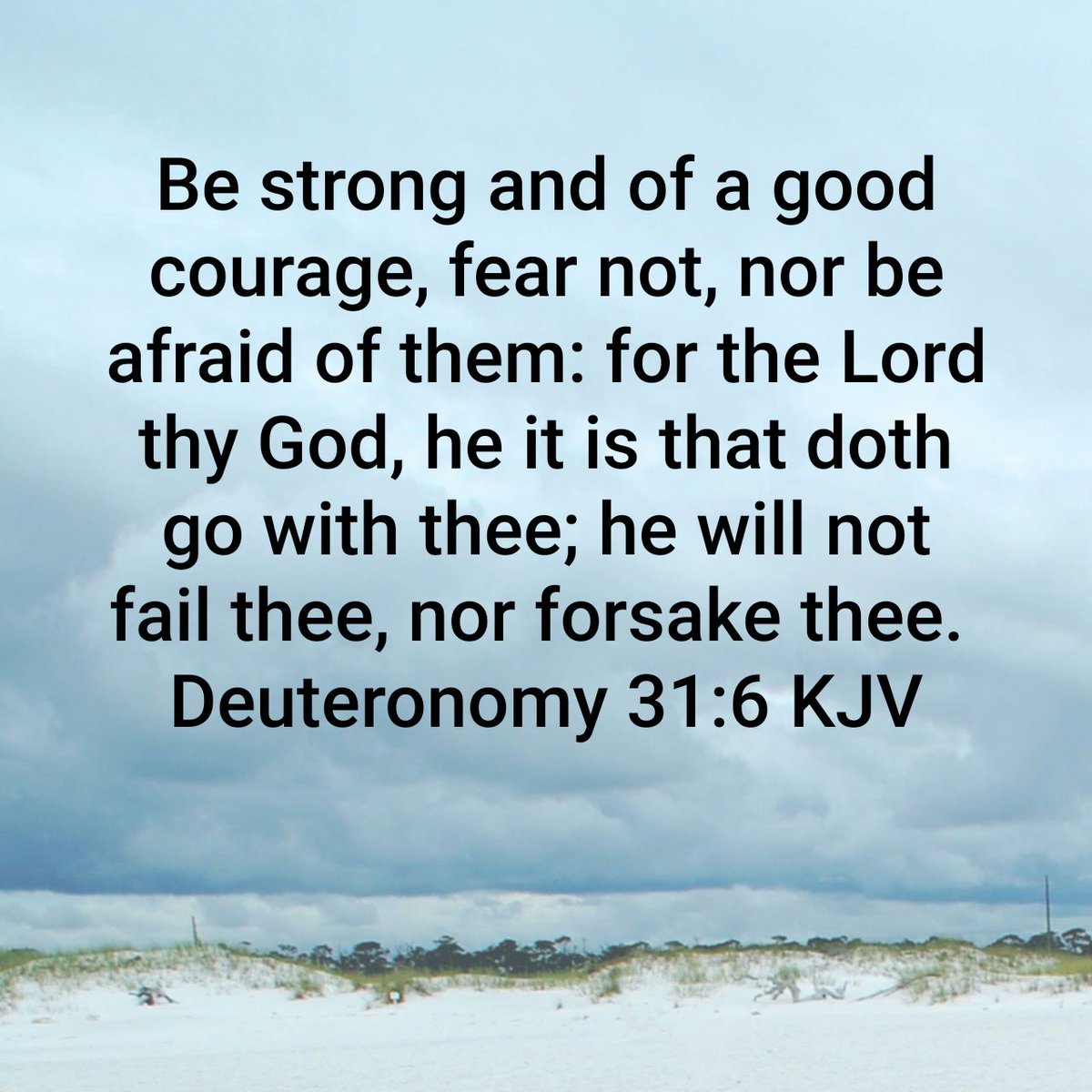 Be strong and of a good courage, fear not, nor be afraid of them: for the Lord thy God, he it is tha…
bible.com/bible/1/deu.31…