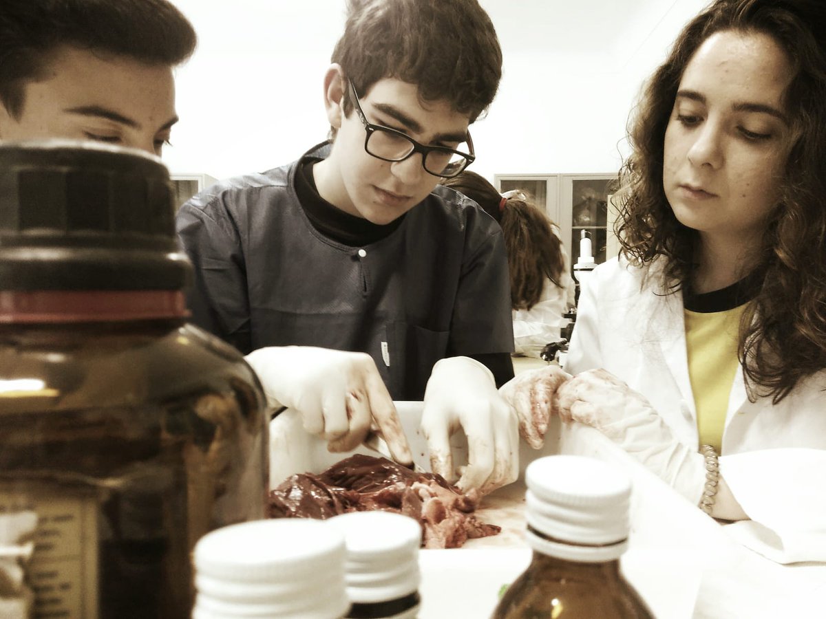 ColegioGamarra's tweet photo. ¡Buenos días! ¡De corazón! Nuestro alumnado de Bachillerato nos manda  este mensaje desde el laboratorio y nos desea de todo corazón que  tengamos un día fantástico. ¡Igualmente chicos! #SomosJesuitinas #Educación https://t.co/inZKsUOInk