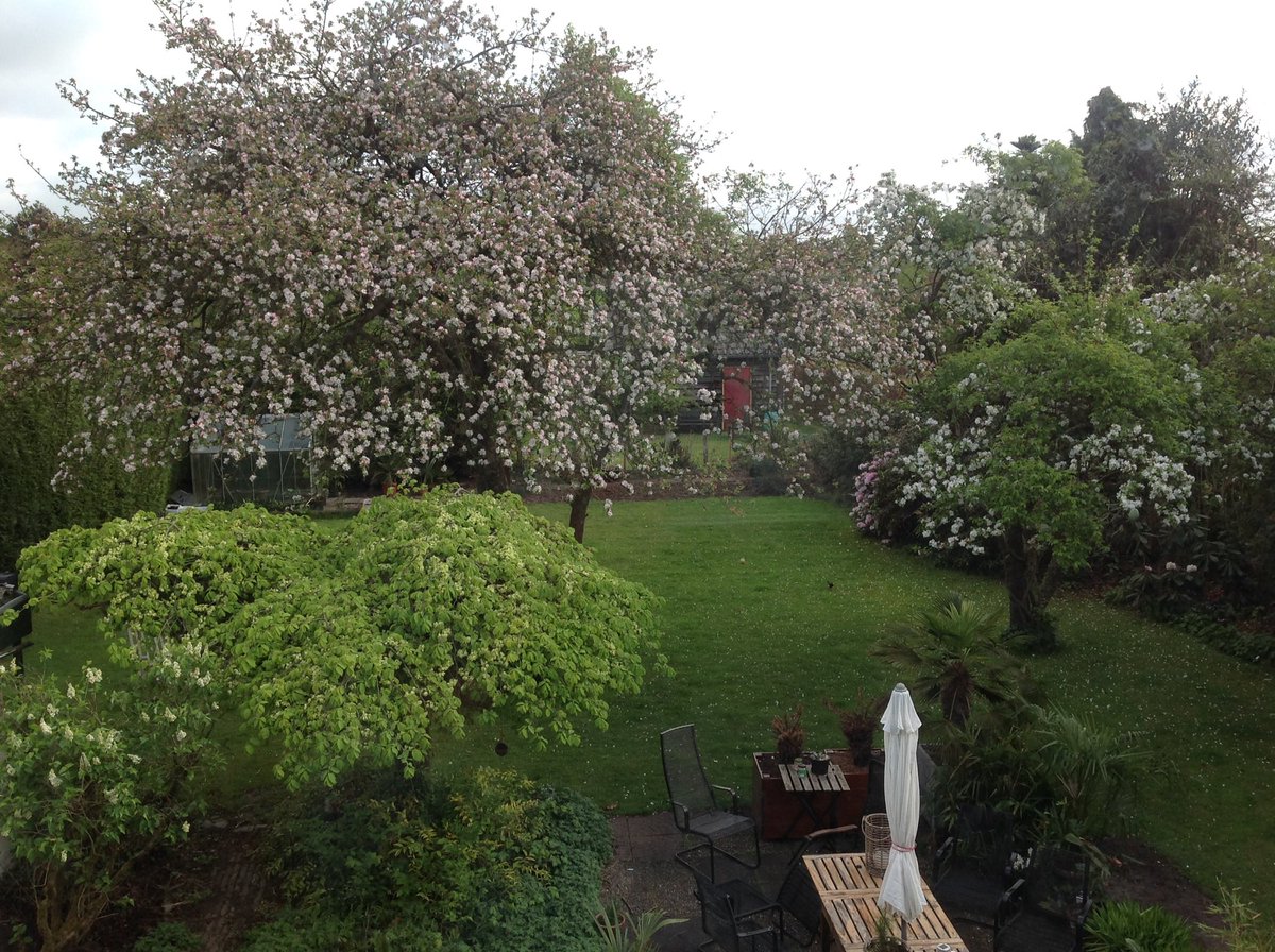 Opstaan is geen straf