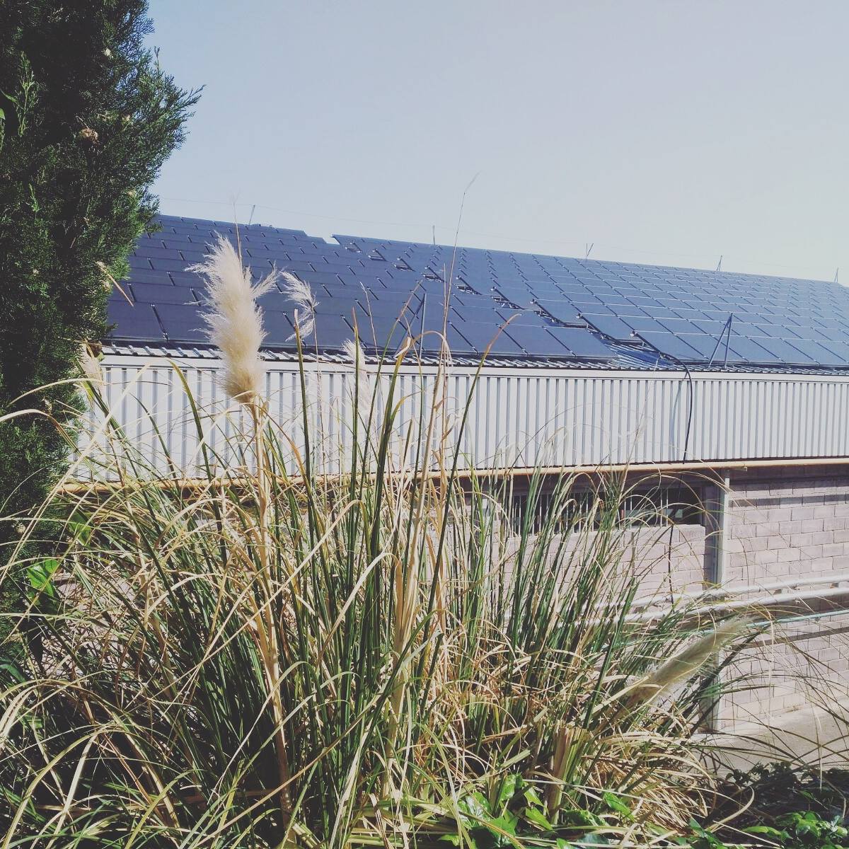 PIEL_SA's tweet photo. Taking care of our planet / Cuidamos de nuestro planeta 🌲🍀🌍
 #sustainability #pielsa #placassolares #medioambiente #sostenibilidad #repectfull #environment #sostenibilidad #solarenergy #conscius https://t.co/cJzNxhxffC