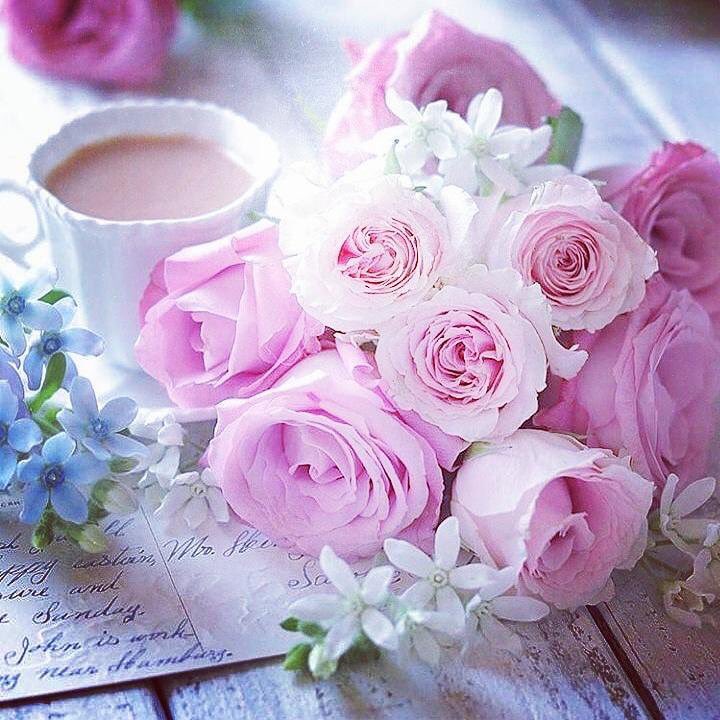 Ltof505's tweet photo. 🔴 ليس عليك ان تُسعد الجميع،
ولـكن عـليك ان لا تــؤذي احـداً !
.

💕🕊

 #أم_عبدالله_وبناتها 
 #قروب_العفراء_للدعم
#قروب_حاتميه_للدعم https://t.co/nXzYgmtBGW