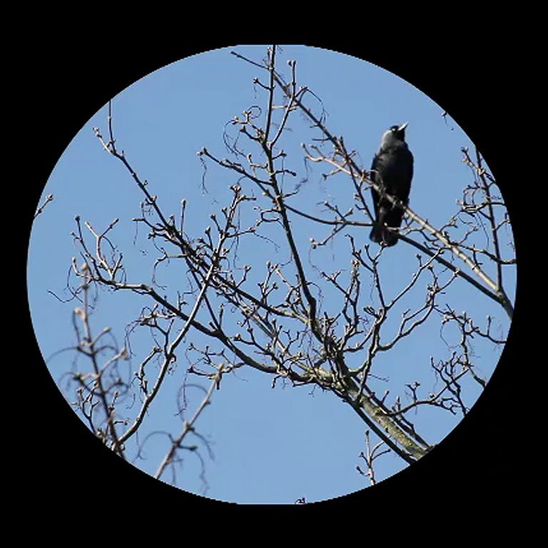 Looking forward to working with Jill Impney and <a href="/MeadowArts/">Meadow Arts</a> on a visual art and sound design workshops inspired by Ice Age. Tomorrow (28 April) <a href="/TheHiveWorcs/">The Hive</a>  from 11.30am onwards. More details here: details are here: meadowarts.org/events/ice-age… …  x.com/MeadowArts/sta…