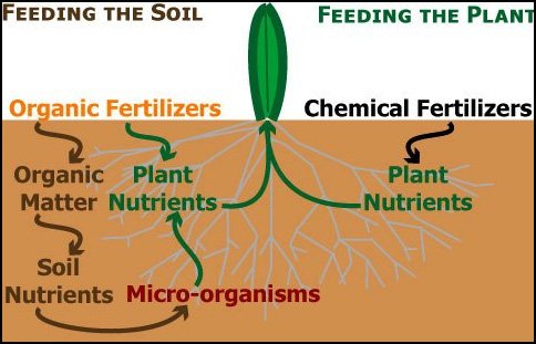 Agri_Tech_2018's tweet photo. Comparison of #organic #fertilizers and #Chemical #fertilizers #feeding the #Soil and #Plants.
Ps. https://t.co/pJMGP9rByc
#Agriculture #Conferences #FoodScienceConferences #FoodMeetings #FoodWorld #Soil #Organic #Plant #Chemical #AgritechConferences2018 #HorticultureConferences https://t.co/fMridf8Ub5