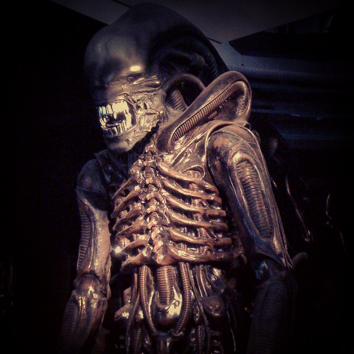 The ship will automatically celebrate in T minus 5 minutes🚨Happy #ALIENDAY to all perfect organisms👩🏼‍🚀#relaxandopenthehatch  #Aliens #aliensday #LV426 #xenomorph