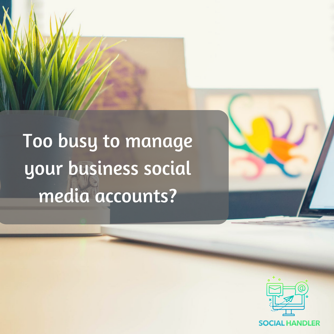 socialHandler's tweet photo. We professionally manage your business social media accounts on daily basis and give it a well deserved CONSISTENCY.
Send us a Dm now and let's get you started!!
#Socialhandler https://t.co/JZe4GDLnoO