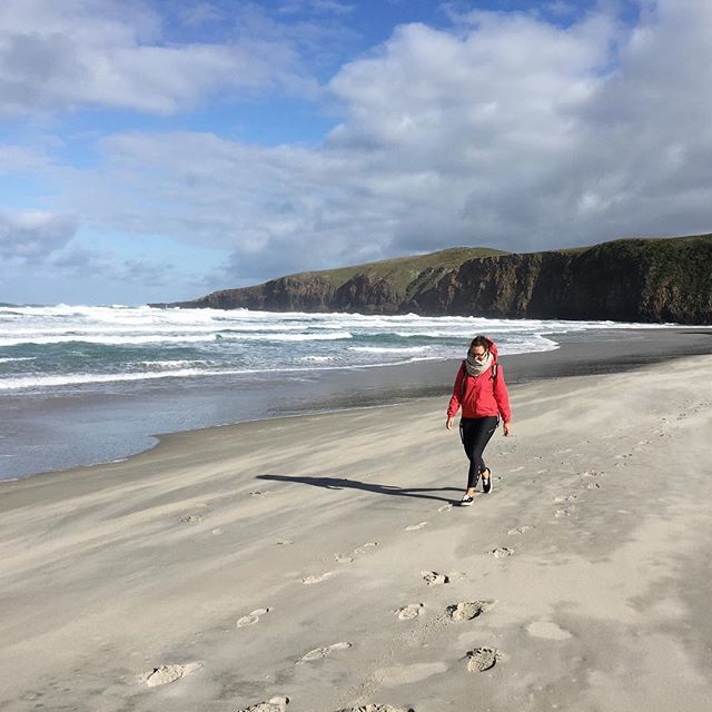 Sandfly Bay is half an hour by car plus 20 minutes by foot away from our home. How long do you need to reach the next beach? #dunnerstunner ift.tt/2FgCIPd