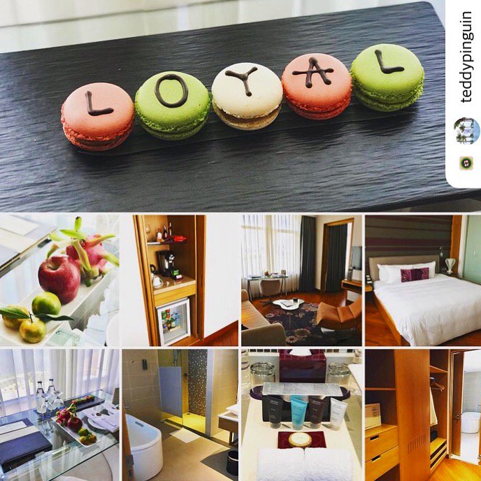 GrandMercure_DN's tweet photo. Welcome to Danang City! As an ambassador in the #LCAH Programme, we greatly appreciate and cherish your loyalty.
📸 Photo credit: teddypinguin
#GrandMercureDanang
.
.
#accorhotels #danang #vietnam #luxuryhotels #hotels #accor #lcah #leclubaccorhotels #danangfantasticity https://t.co/VR25jREfL4