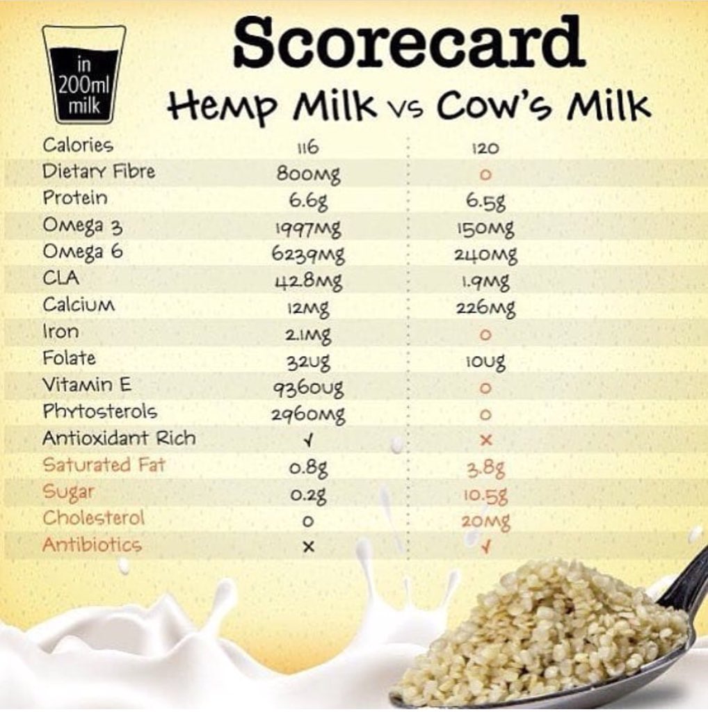 The_Corp_Hippy's tweet photo. Made Hemp milk for the first time today.. would definitely be a nice addition to our fridge from this day forward.. 🌱💚🌱 https://t.co/ugcpcOlEF1
