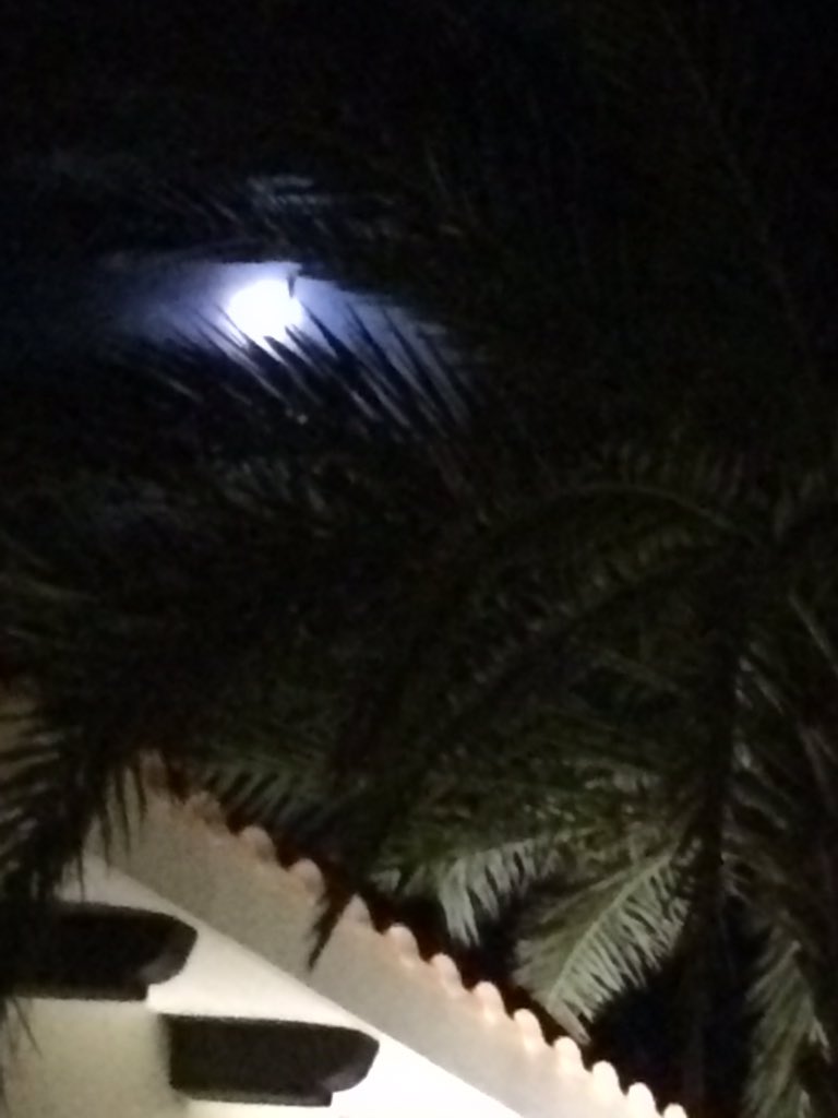 MARTHAAA_GDL's tweet photo. #LaMismaLuna 🌖#LoveIsInTheAir 😍
#TheBestOfTheBest de mi país 👉🏻#México 🇲🇽 👏🏻👏🏻👏🏻🙋🏽🏆👌🏻☀️🌊🌕✨✈️🚢☸️💦🌈⛳️🏊🏼♀️🎤🏩💼🎒🎆🍝🍨🍾🍹🥂🌺🌵💃🏽😃👍🏻#Viajes #Travel😊#AmoMiTrabajo 😍#TopLevelExecutive👩🏽💻👌🏻
#GraciasDios🙏🏻🕯🕊⚪️💟🍀😘💜 https://t.co/jiDAHGD0Iv