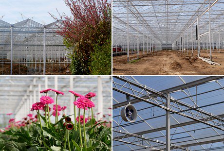 Bouwupdate nieuwe kas Mans Flowers @stolzebv
bpnieuws.nl/artikel/15274/…