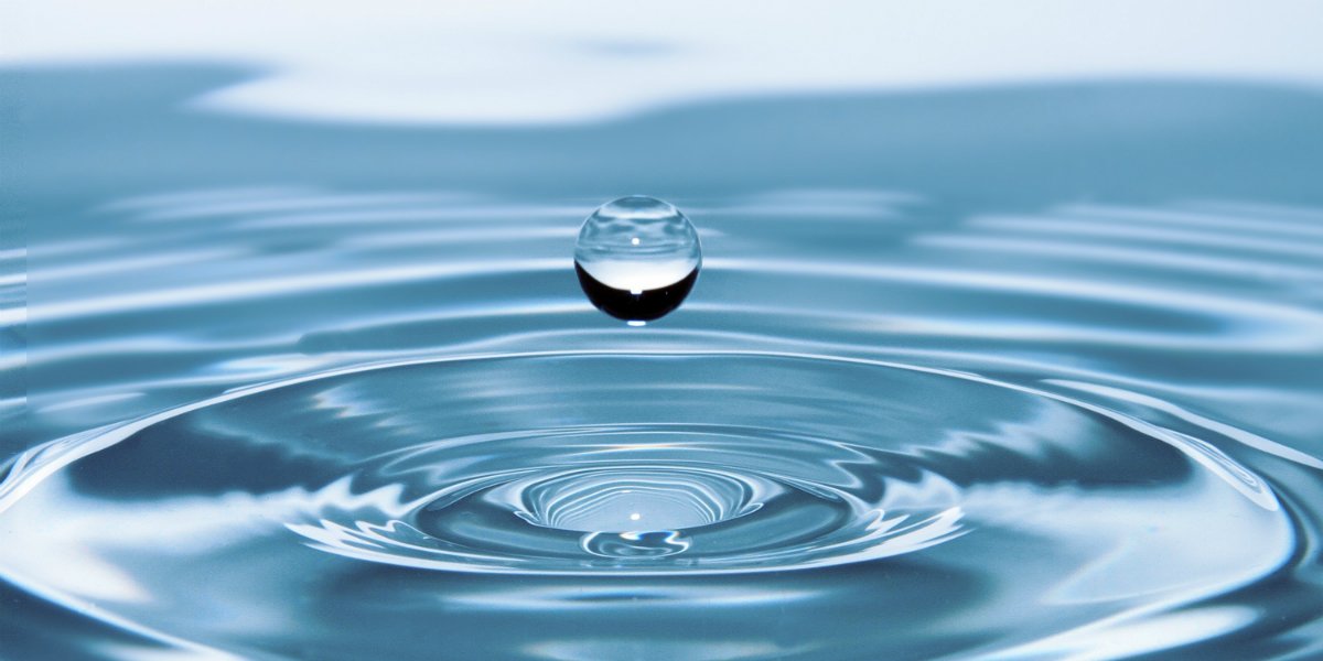 mtsprout_nl's tweet photo. Into Venture Capital: anti-verwatering https://t.co/3ZA4NkJV7s via @SjoerdMol https://t.co/uQoXqAPGnl