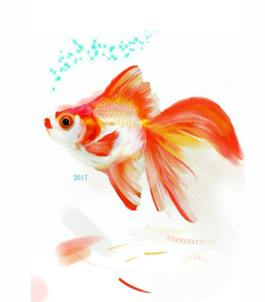 Twitter 和兎庵 12 18 Artevarieモ14 على تويتر 去年生まれの金魚さんにも少し色を足しました 帯留め の元絵ですが可愛いデフォルメが出来ません 金魚は涼しそうだからと夏向けですけれど 春夏秋冬懸命に生きておりまして つまるところ生き物は愛しいです Twitter 和兎庵 12 18 Artevarieモ14 على تويتر 去年生まれの金魚さんにも少し色を足しました 帯留め の元絵ですが可愛いデフォルメが出来ません 金魚は涼しそうだからと夏向けですけれど 春夏秋冬懸命に生きておりまして つまるところ生き物は愛しいです