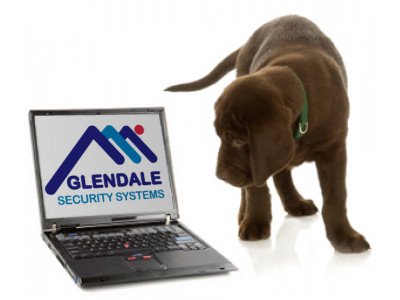 Looking to protect your little fur baby? We can help, whether it is an alarm to work with your pets, or a camera to check what they are doing throughout the day when you are not there, we have a solution for all.