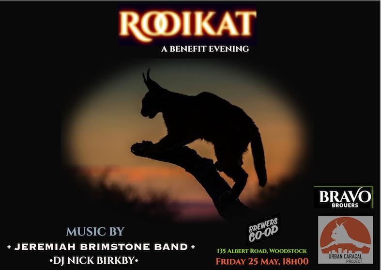 Urban Caracal Project (@urbancaracal) on Twitter photo Exciting news! <a href="/BrewersCoopCPT/">Brewers Co-op</a> in #Observatory are putting on the #Rooikat benefit evening to support the Urban #Caracal project! Friday 25th May @ 18:00, The Jeremiah Brimstone Band and DJ Nick Birkby will be playing, and we will be there to give project updates. See you there! Exciting news! <a href="/BrewersCoopCPT/">Brewers Co-op</a> in #Observatory are putting on the #Rooikat benefit evening to support the Urban #Caracal project! Friday 25th May @ 18:00, The Jeremiah Brimstone Band and DJ Nick Birkby will be playing, and we will be there to give project updates. See you there!