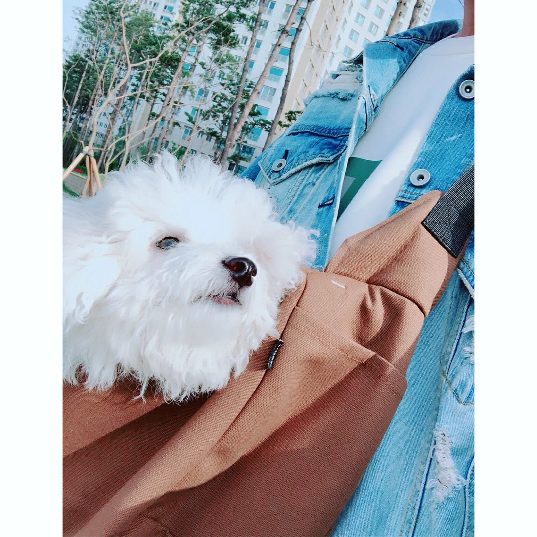 transforbap's tweet photo. 180426 Daehyun [Instagram]

Everyone have a delicious dinner ! #baby

https://t.co/Jz8jMKh2Fh https://t.co/00oTyDwhdQ
