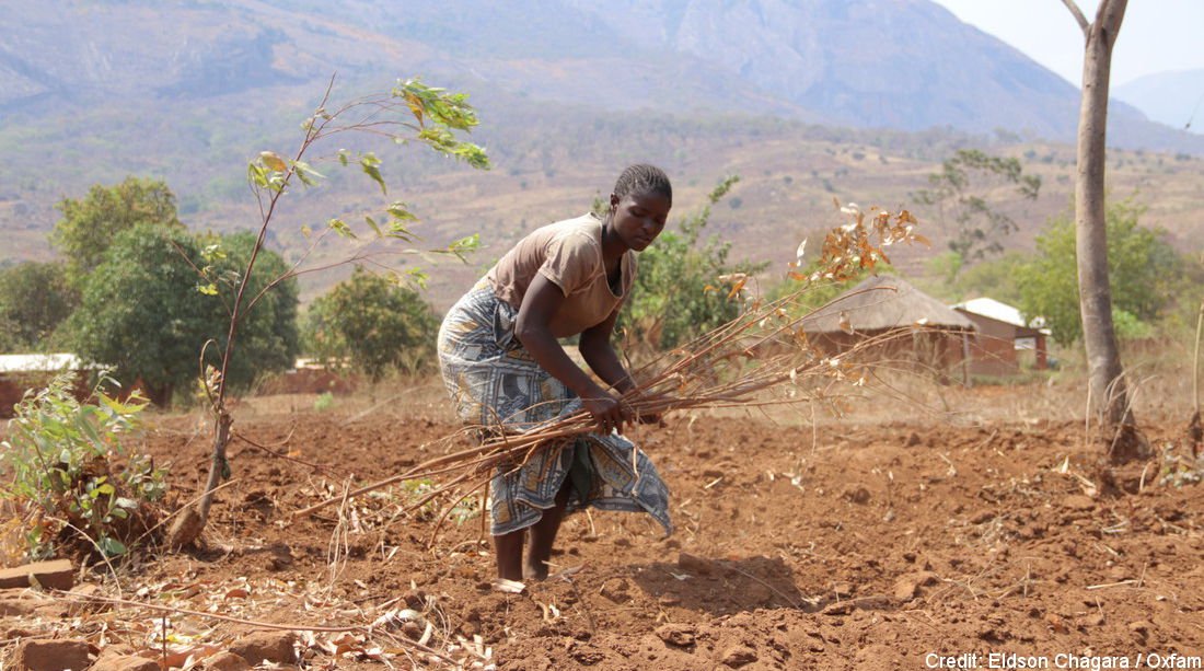 Oxfam's tweet image. Malawi has 10 multi-millionaires yet 70% of population live in poverty. New report out by @OxfamMalawi: oxf.am/2HGldgd #fightinequality #beatpoverty