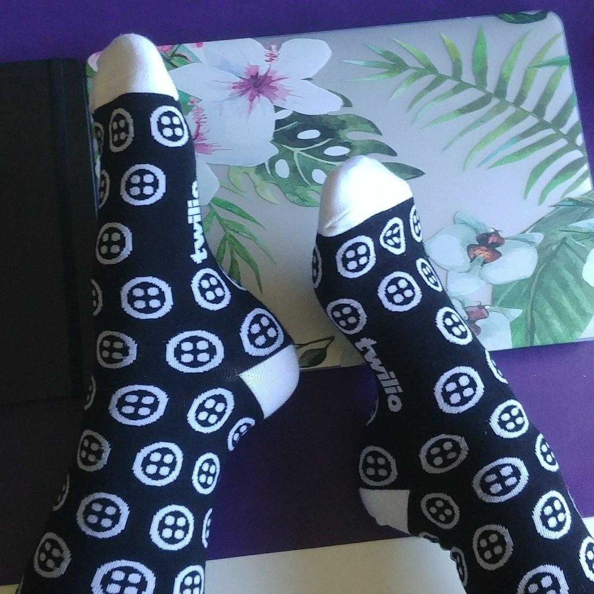 LaylaCodesIt's tweet photo. Rocking some awesome #swag after #twilioEngageLondon #engageLondon
#developerswag #twilioswag #softwareengineer #webDevelopment #webdev #webdeveloper #developerevangelist #devangel #coder #girlcoder #coderlife https://t.co/D0I2fY0B04