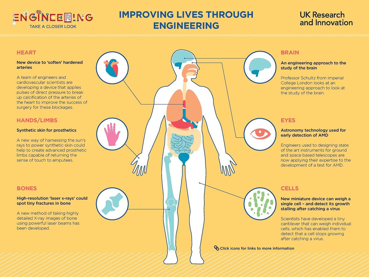 UKRI_News's tweet photo. Find out how pioneering new engineering approaches supported by the Research Councils can improve lives with our interactive graphic: https://t.co/MEG30P7jKP  #YoE #InspireAnEngineer https://t.co/x07PU561KC