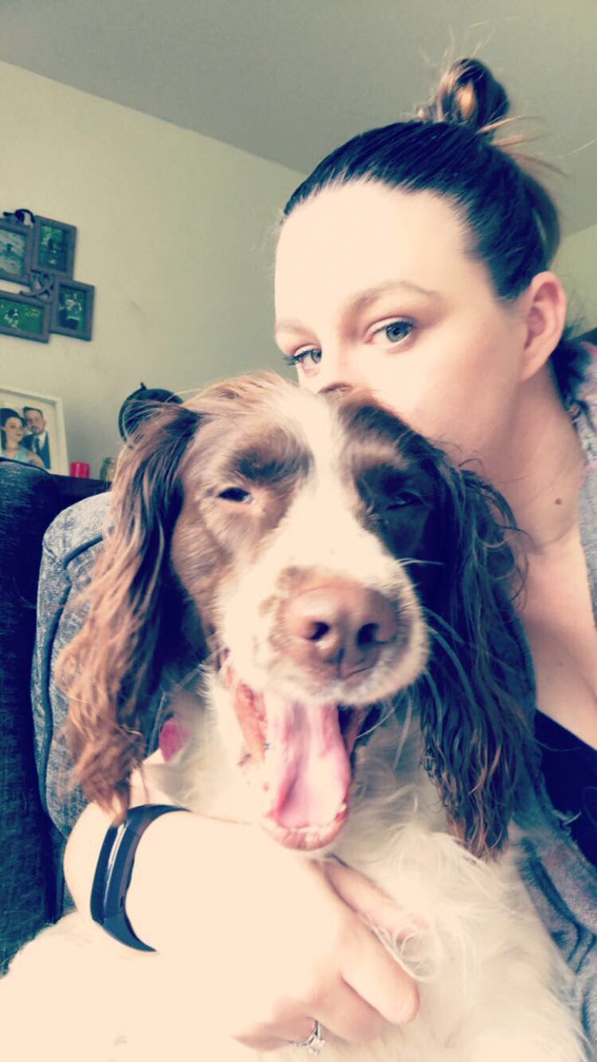 baileygemgem's tweet photo. How me and pepper feel after a long week #tired #work #uni #dogslife https://t.co/di9Gv2RBll
