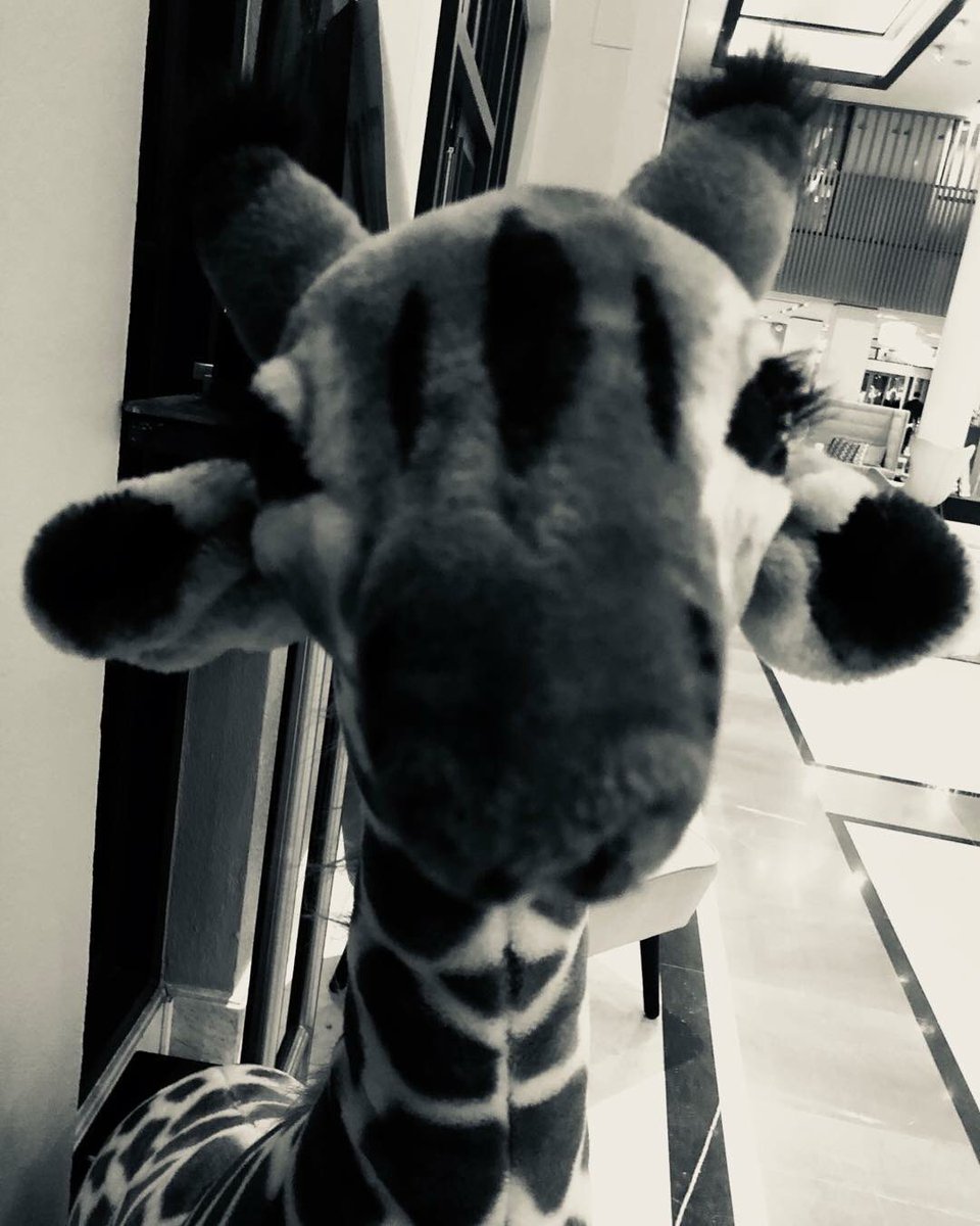 BijmanAV's tweet photo. A sad giraffe #CrossMediaAwards2018 #goudengiraffe https://t.co/hb6aZxoQ76