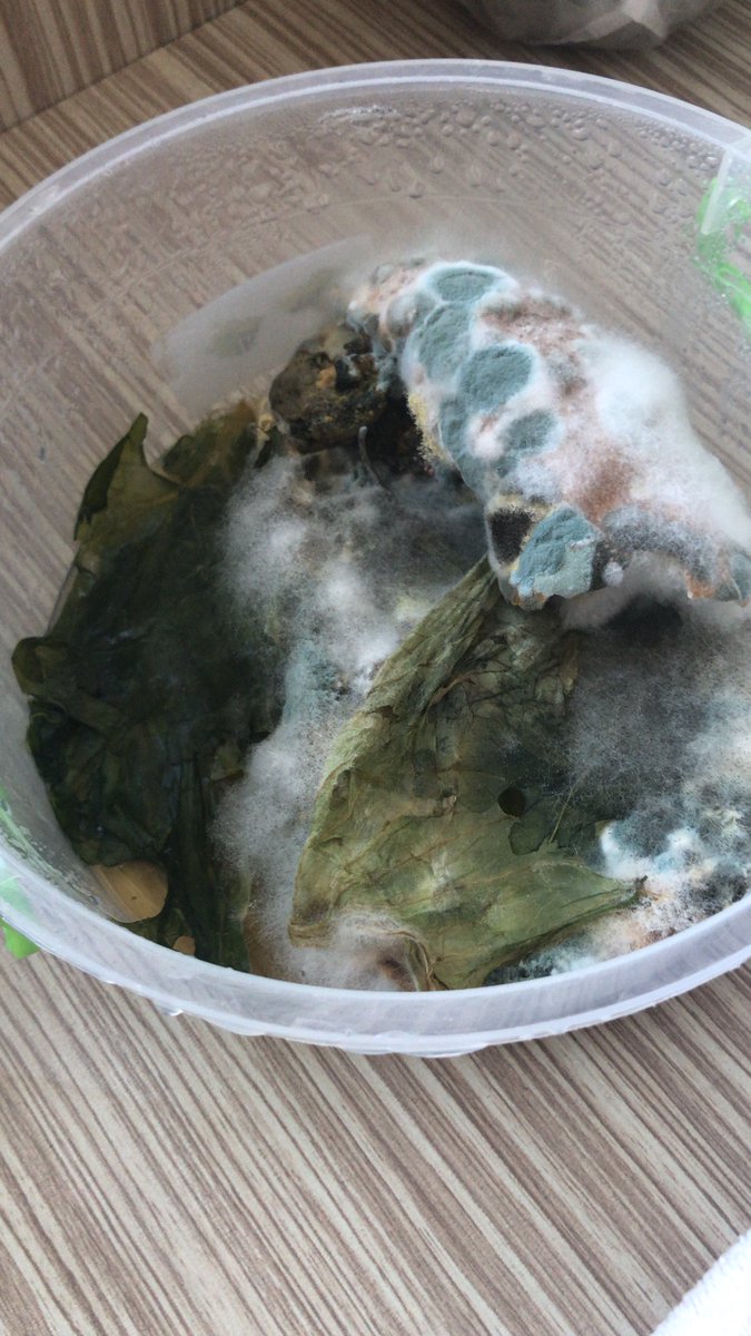 Yıkamayı unutmuşuz ehe