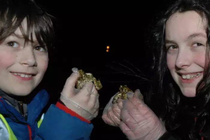 peakdistrict's tweet photo. Look out for Toad Patrol in Monyash on tonight's epsiode of Blue Peter @cbbc at 5.30pm, or watch again on @BBCiPlayer - https://t.co/zINBFJ67aN
#Toads #SaveOurToads #ToadPatrol
Photo: Rod Leach via @D_Times https://t.co/MvVpOR33Bg