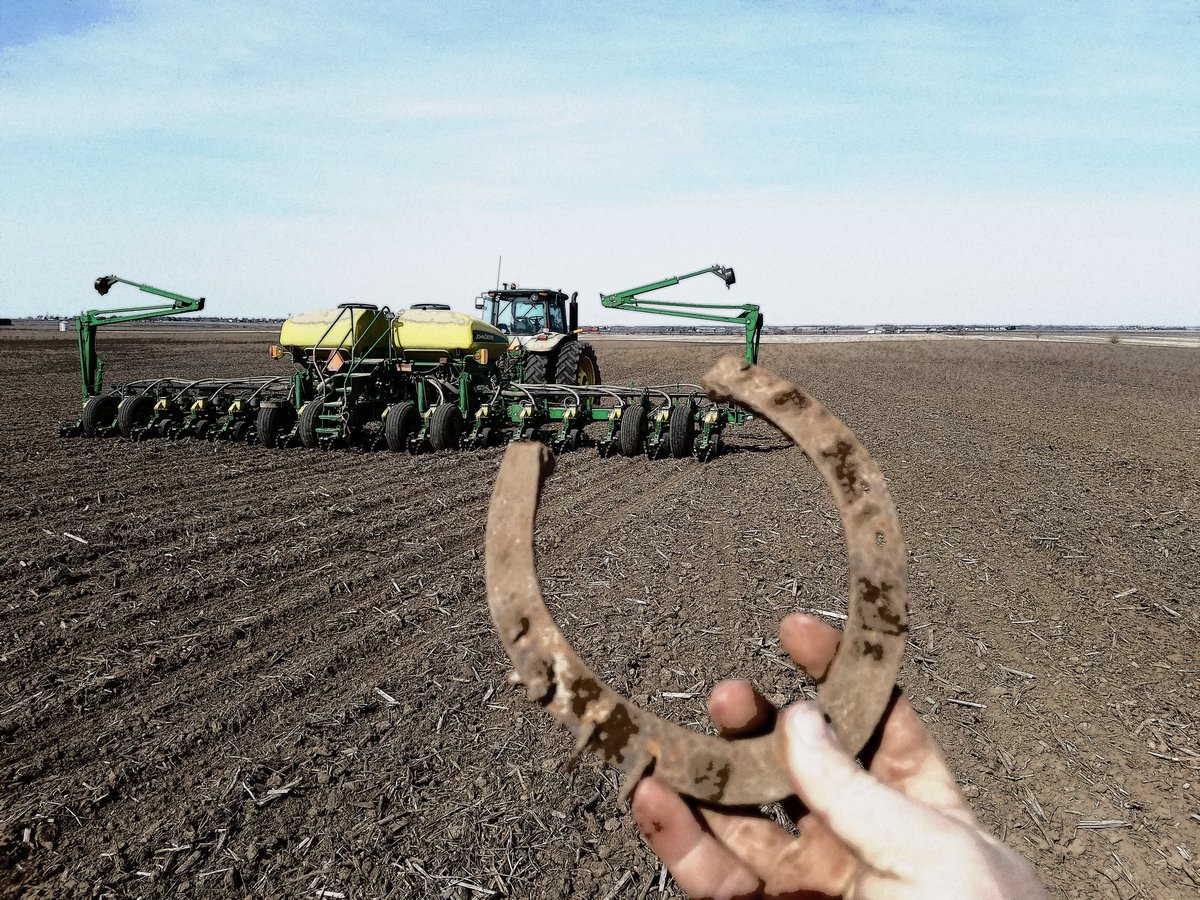 It's amazing the changes in less than 100 years 
#plant18